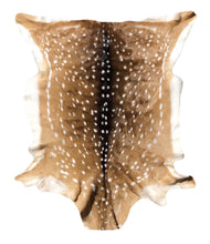 Load image into Gallery viewer, Axis Deer Hide