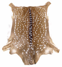 Load image into Gallery viewer, Axis Deer Hide