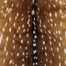 Load image into Gallery viewer, Axis Deer Hide