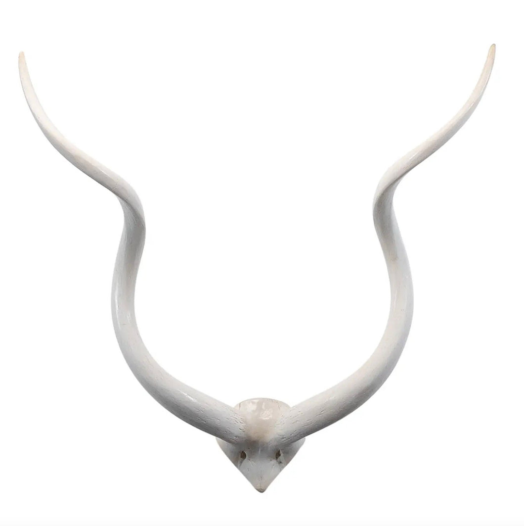 Kudu Mount Wall Art Kudu Horns Wall Decor White Kudu Horn Wall Hanging Kudu Inner Horn Mount White Antler Mount