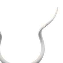 Load image into Gallery viewer, Kudu Mount Wall Art Kudu Horns Wall Decor White Kudu Horn Wall Hanging Kudu Inner Horn Mount White Antler Mount

