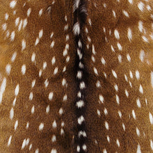 Load image into Gallery viewer, Axis Deer Hide
